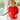 Roscoe Puffed Sleeve Crew Red